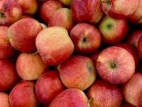 Apples