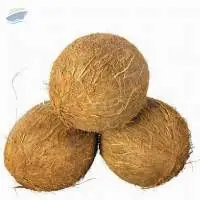 Semi Husked Coconut