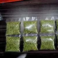 Green Cardamom