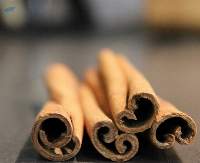 Stick Cassia