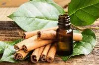 Cassia Oil