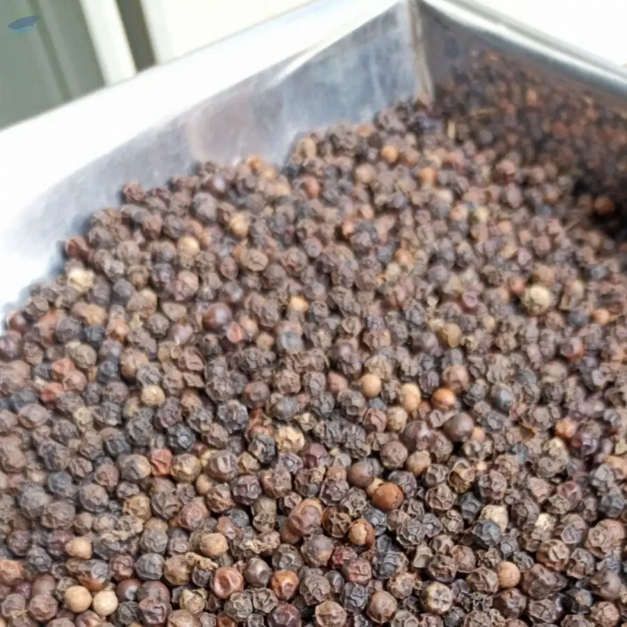Black Pepper 550 G/l