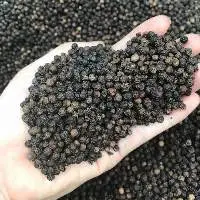 Cleaned Black Pepper 550 G/L