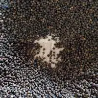 High Quality Pepper From Vietnam