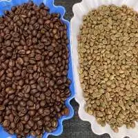 Robusta Coffee Grade 1 From Indonesia