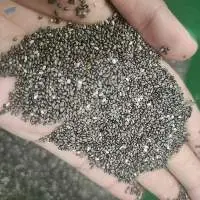 Chia Seeds