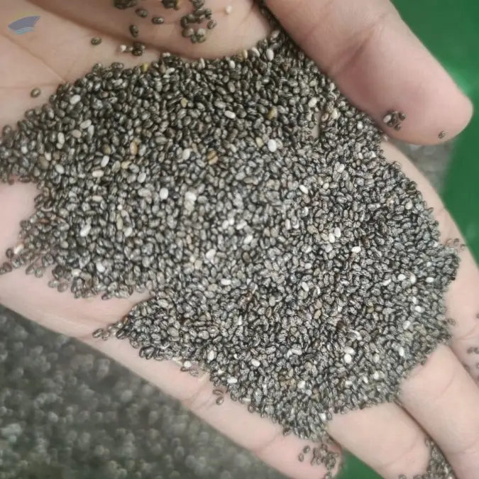 Chia Seeds