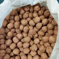Inshell Walnut