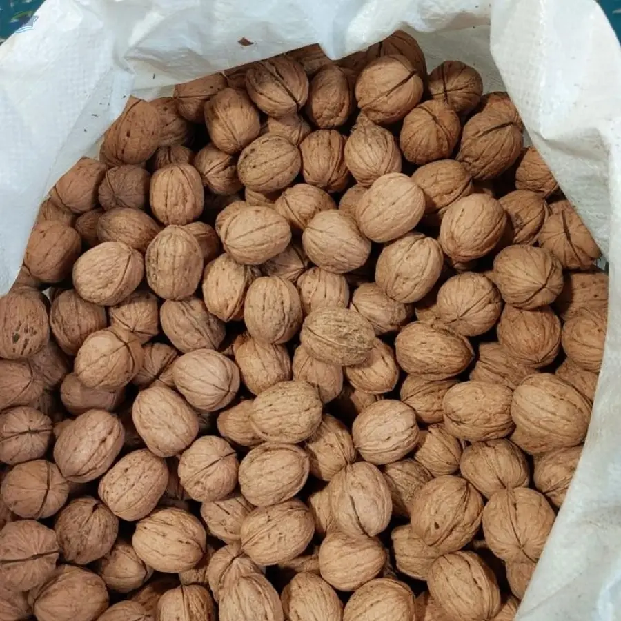 Inshell Walnut