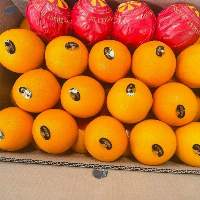 Oranges