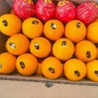 Oranges