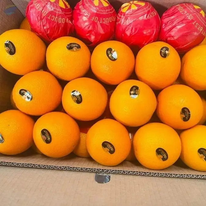 Oranges