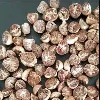 Nutmeg