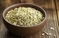 Fennel Seeds