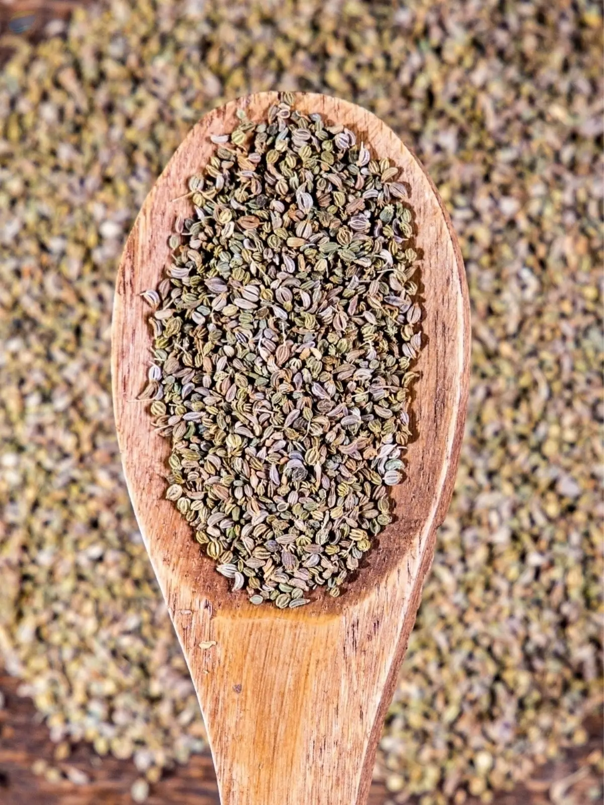 Parsley Seeds