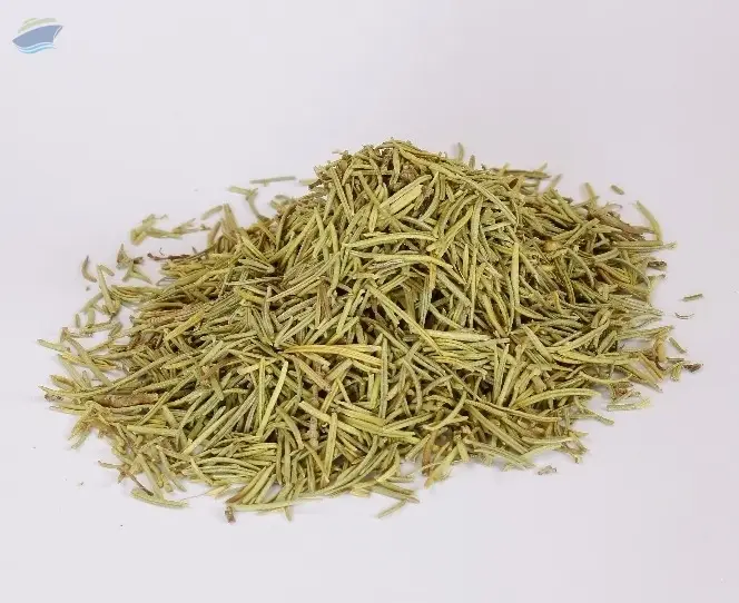 Rosmarinus Officinalis