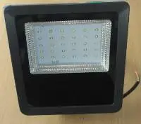 AC Flood Light