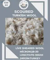 Scoured Wool