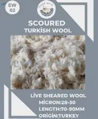 Scoured Wool