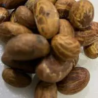 Bitter Kola ( Garcinia Kola)