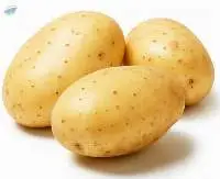 Potato