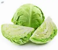 Cabbage