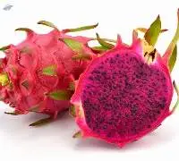 Dragon Fruit