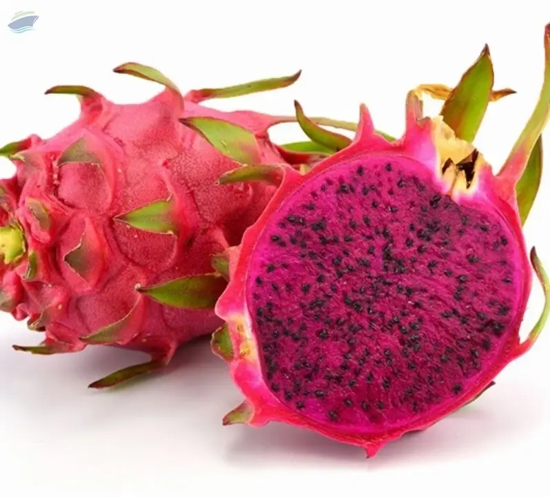 Dragon Fruit