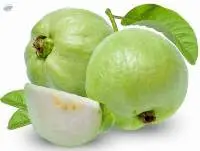 Guava