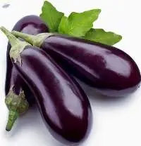 Egg Plant