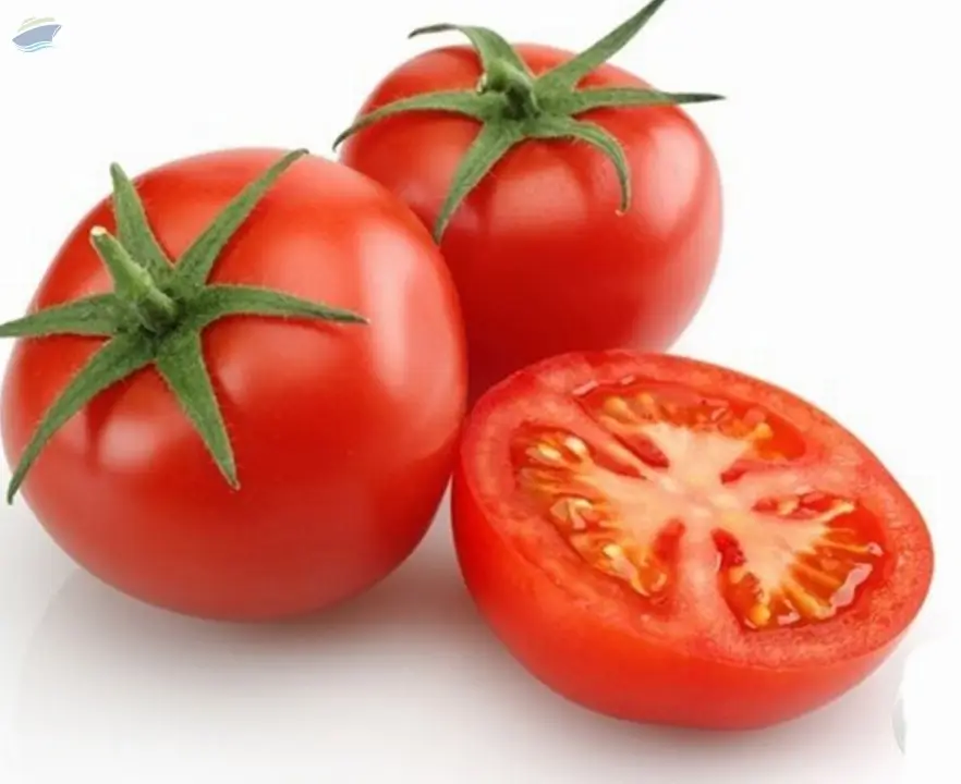 Tomato