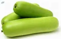 Gourd