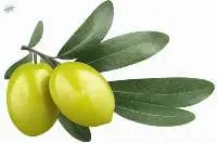 Raw Olive