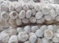 China Garlic