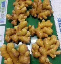 China Ginger