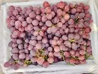 Grape