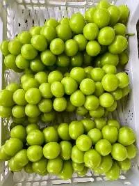 Shine Muscat Grapes