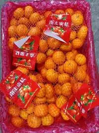 Baby Mandarin