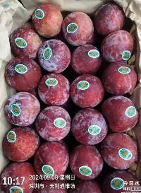 China Plums