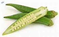 Okra ( Lady Finger)