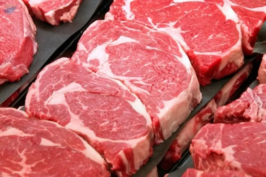 Beef Meat