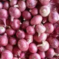 Red Onions