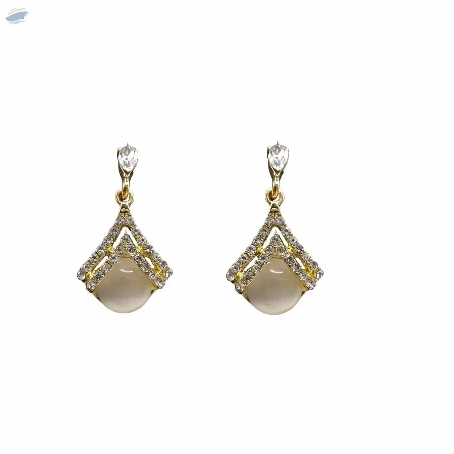 Ladies Drop Earrings by Orizin Technologies Private Limited. Supplier