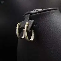 Ladies Beautiful Dangle Hoop Earrings