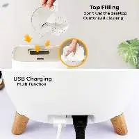 Integrated Ultrasonic Mist Humidifier