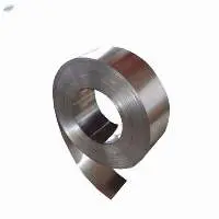 Stainless Steel Strip