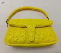 Ladies Evening Pillow Bag