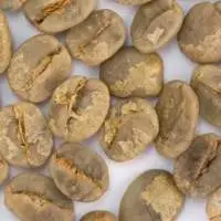 Green Unroasted Arabica Coffee Beans ( Brazil )