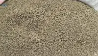 Green Unroasted Arabica Coffee Beans (  CONGO )