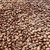 Green  Arabica Coffee Beans (Guatemala )